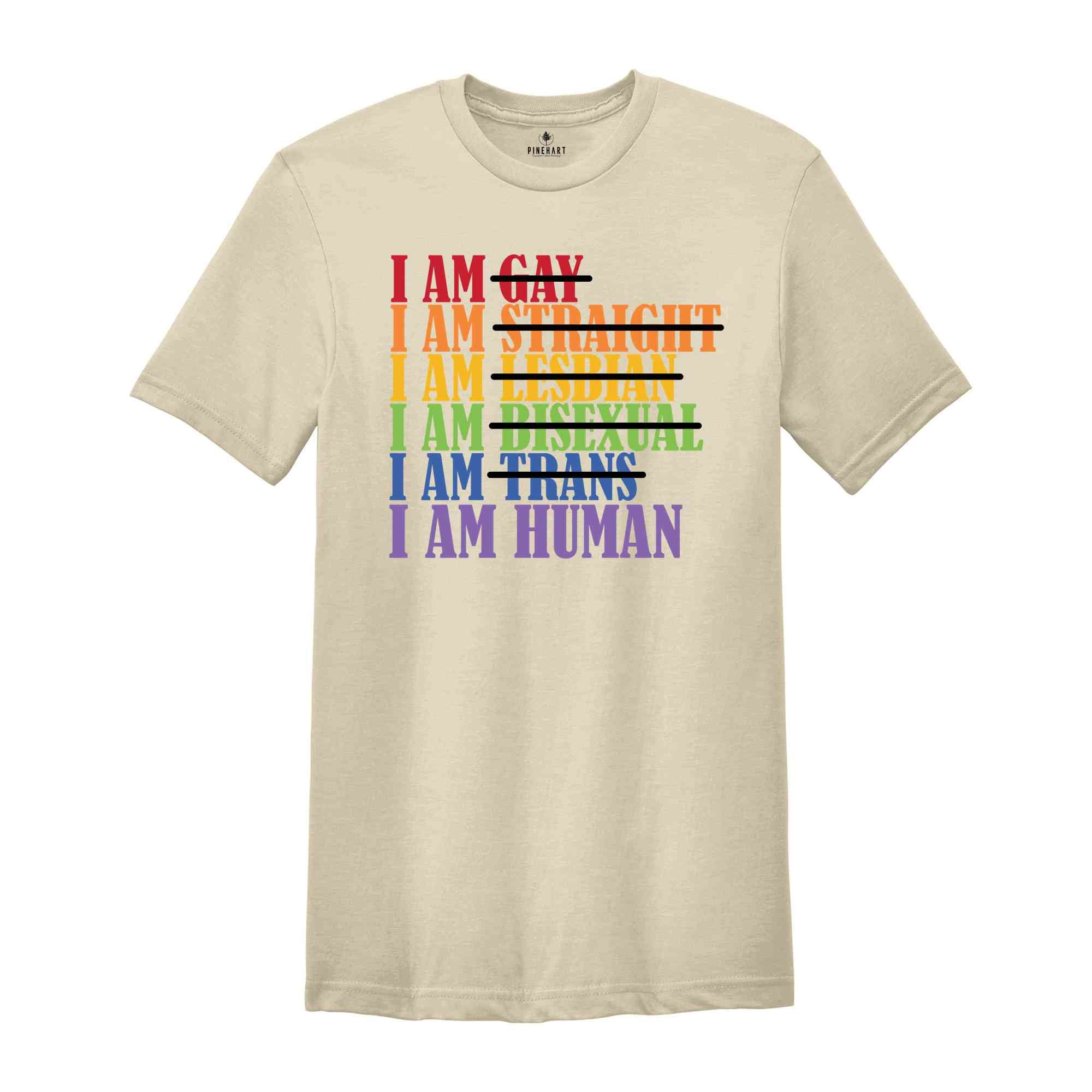 Pride Month Shirt, Love Is Love Shirt, Pride Ally Shirt, LGBTQ Shirt, Pride Love Shirt, Gay Shirt, Lesbian Shirt, Cute Pride Shirt