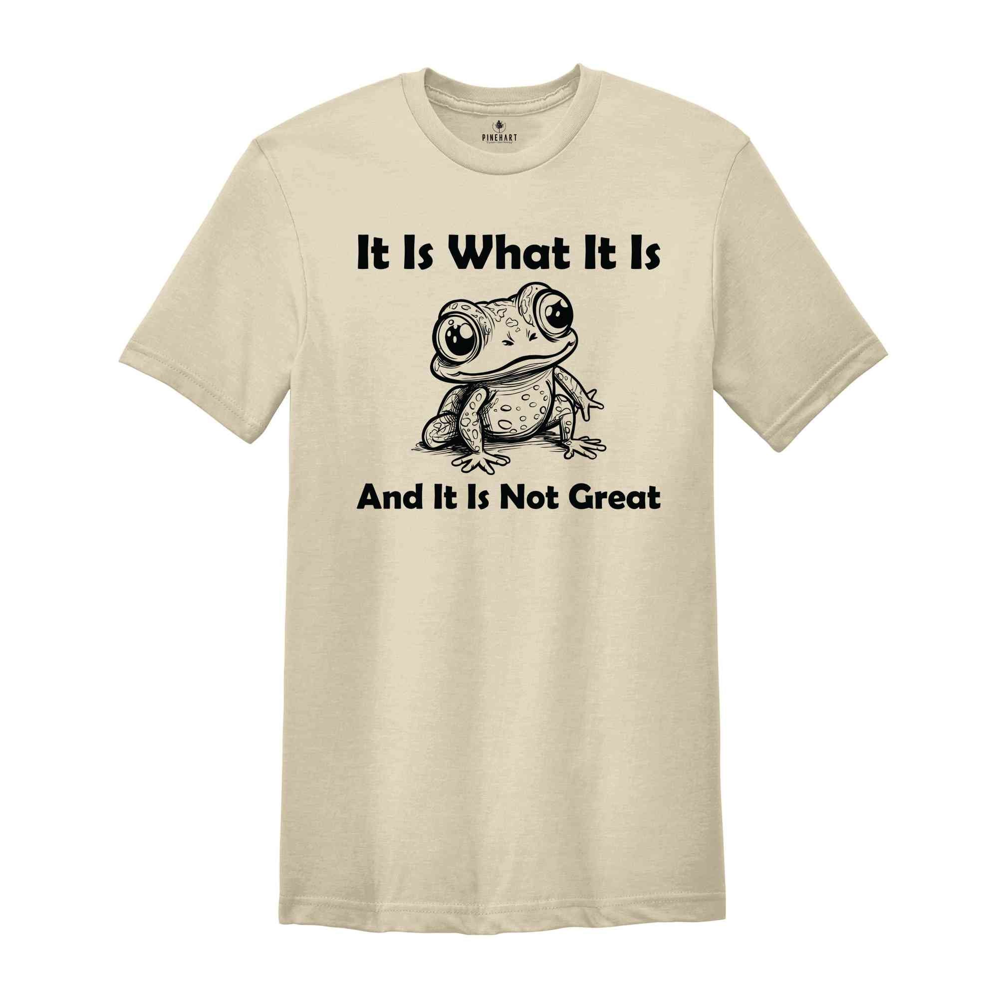 It Is What It Is And It Is Not Great Shirt, Vintage Shirt, Frog Meme Shirt, Funny Frog Shirt, Weird Frog Shirt