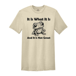 It Is What It Is And It Is Not Great Shirt, Vintage Shirt, Frog Meme Shirt, Funny Frog Shirt, Weird Frog Shirt