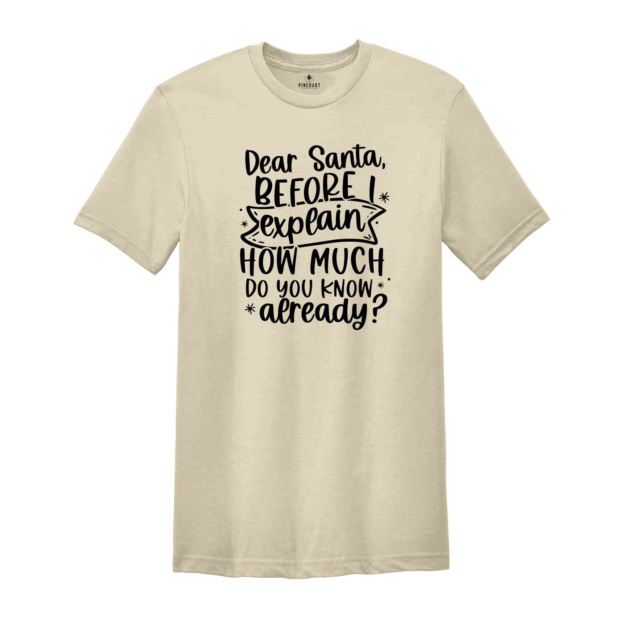 Dear Santa Before I Explain How Much Do You Know Already, Funny Christmas Shirt, Funny Xmas Quotes, Naughty or Nice