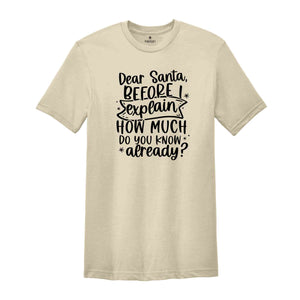 Dear Santa Before I Explain How Much Do You Know Already, Funny Christmas Shirt, Funny Xmas Quotes, Naughty or Nice