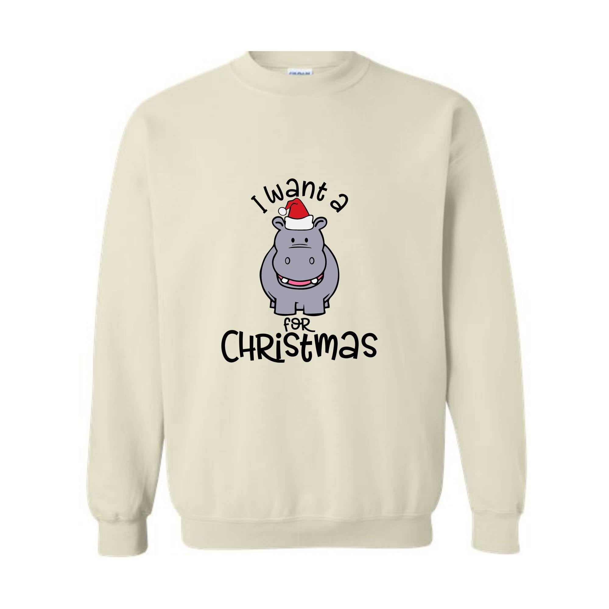 I Want A Hippopotamus For Christmas Sweatshirt, Christmas Hippo Sweatshirt, Christmas Kids Sweatshirt, Funny Christmas Gift