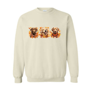 Thanksgiving Dogs Sweatshirt, Fall Dogs Sweatshirt, Dogs Lover Sweatshirt, Pumpkins Dogs Sweatshirt, Thanksgiving Sweatshirt, Fall Sweater