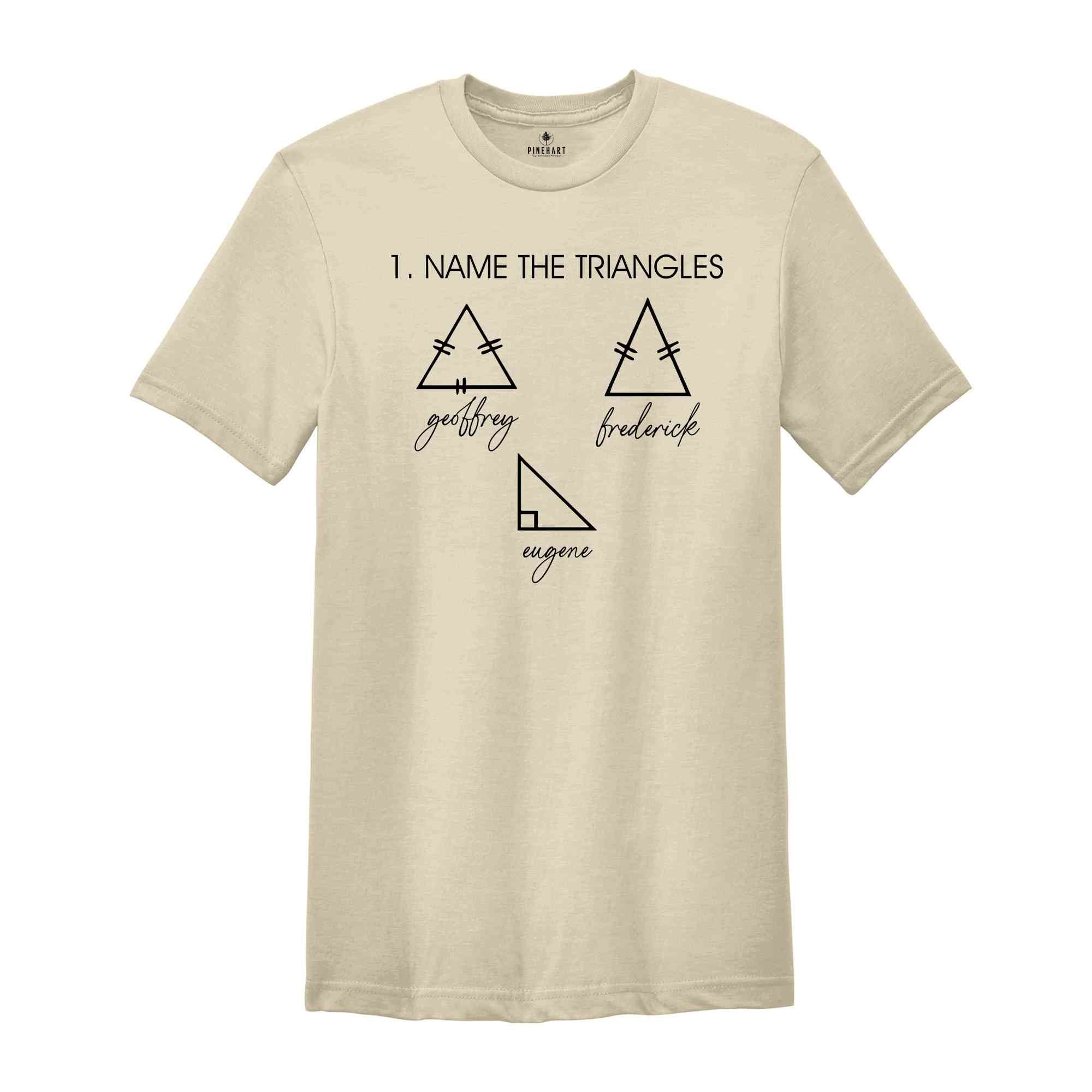 Name The Triangles Shirt, Math Lover Shirts, Math Student Gift, Funny Math Teacher Shirt, Mathematics Geek Saying Tee