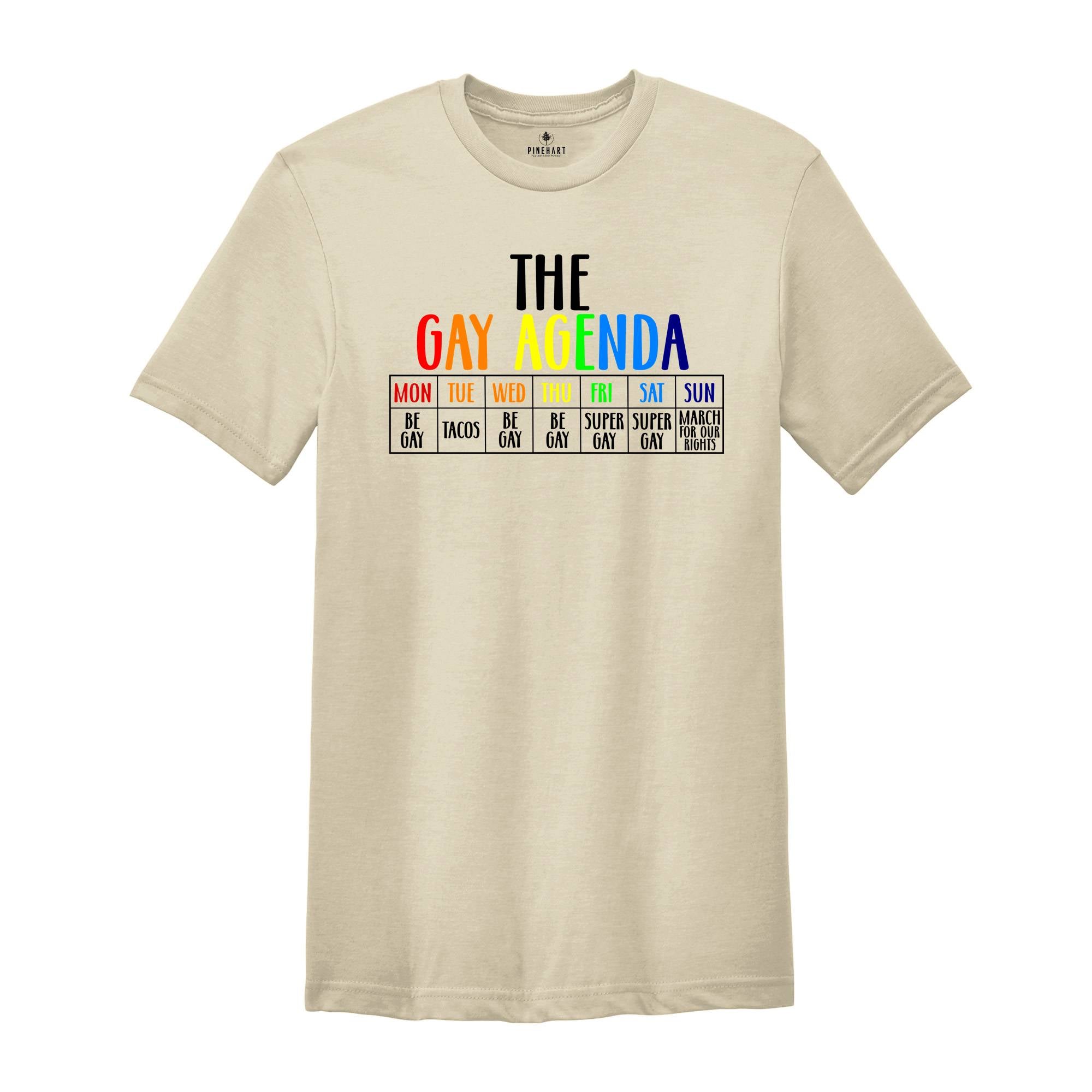 The Gay Agenda Shirt, Funny LGBT Shirt, Pride Rainbow Shirt, LGBTQ Shirt, Gift Gay Lesbian Shirt, LGBTQ+ Shirt