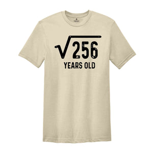 Square Root of 256 Shirt, 16th Birthday Shirt, 16th Year Old Gift, 16th Birthday Shirt, Sweet 16 Shirt, Sweet Sixteen Shirt, Birthday Tee