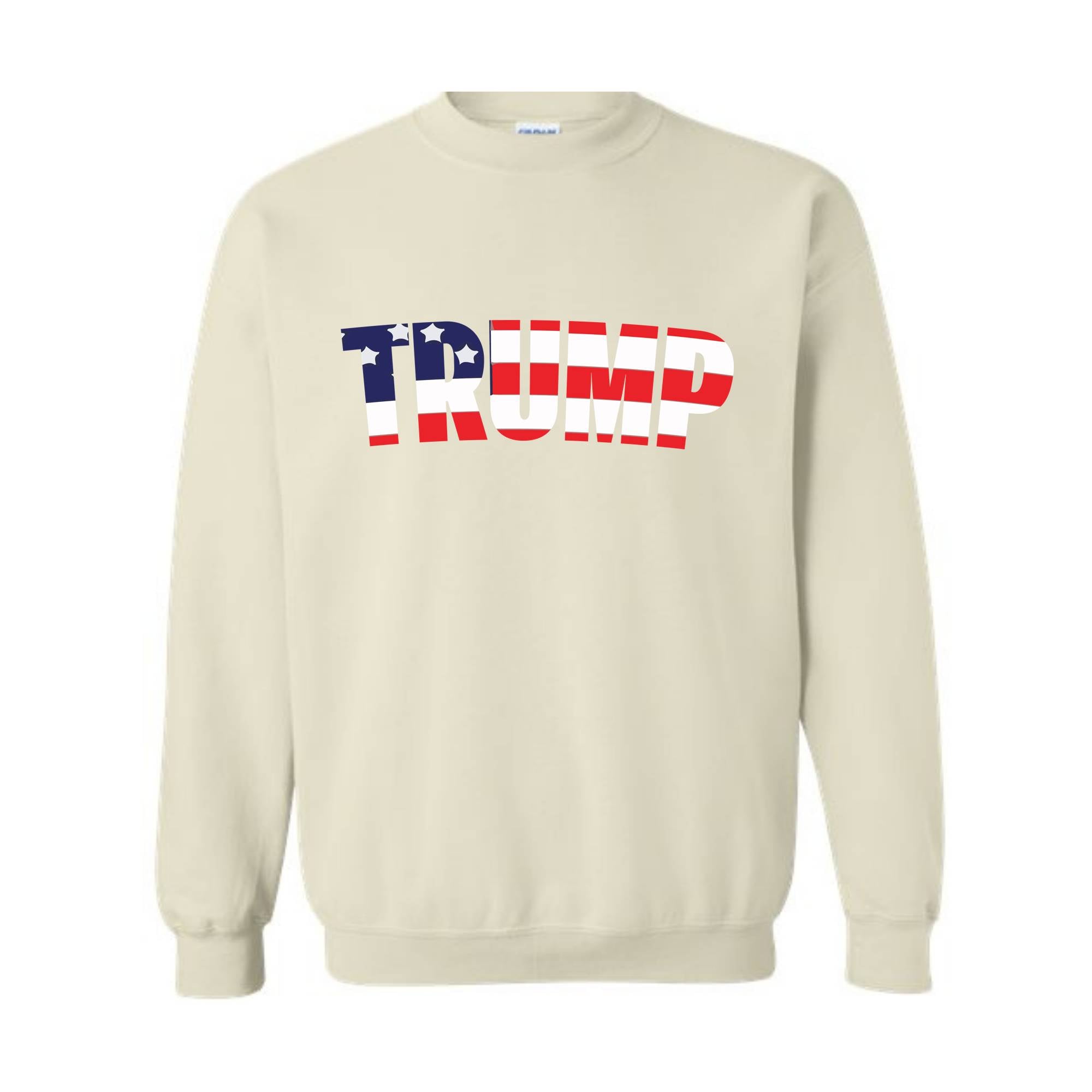 I voted For Trump and i will vote again Sweatshirt, Election 2024 Hoodie, Trump 2024 Sweatshirt, Trump 2024 Republicans