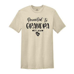 Promoted to Grandma Grandpa Est 2024 Matching Shirt, New Grandma Shirt, New Grandpa Shirt, New Grandparents Shirt, Funny Gender Reveal Shirt