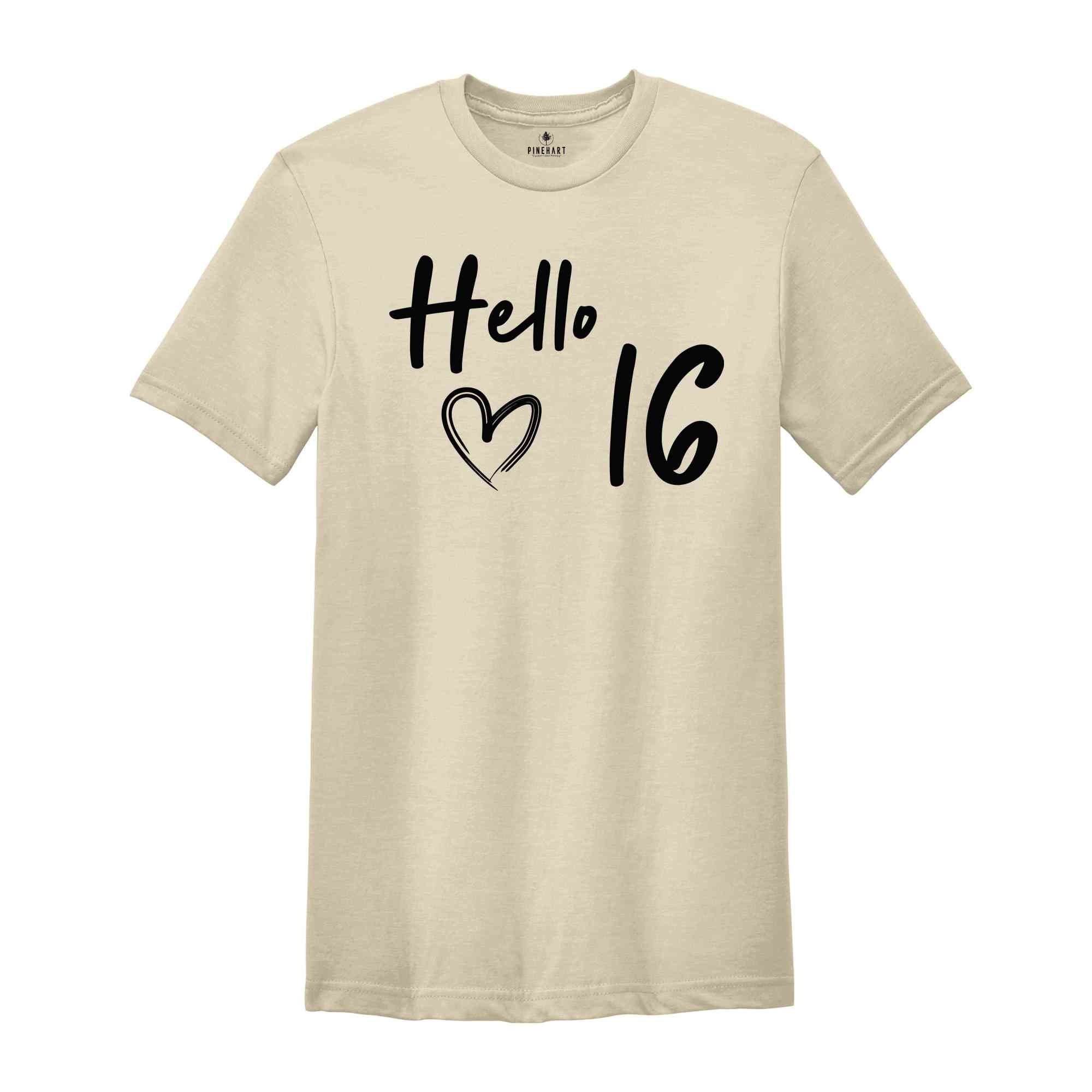 16th Birthday Shirt, Hello 16 T-Shirt, 2008 Birthday Shirt, 16th Birthday Gift, Seventeen And Fabulous, 16 AF Shirt, 2008 birthday women