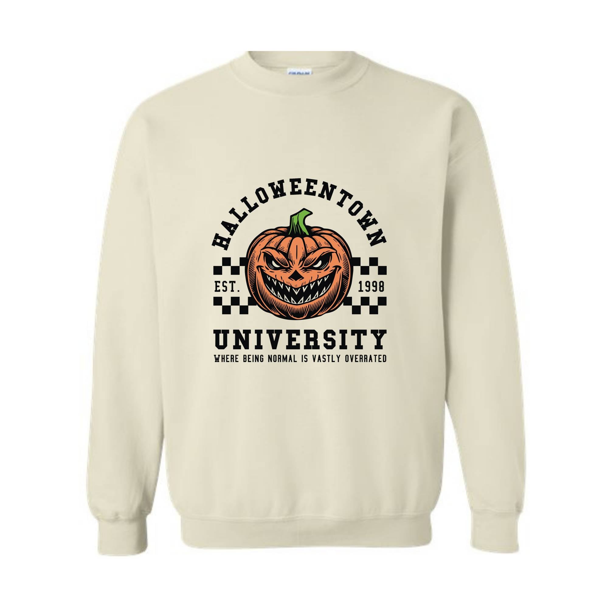 Retro Halloweentown University Sweatshirt, Vintage Halloween Sweater, Halloweentown Sweatshirt, Pumpkin Horror Shirt