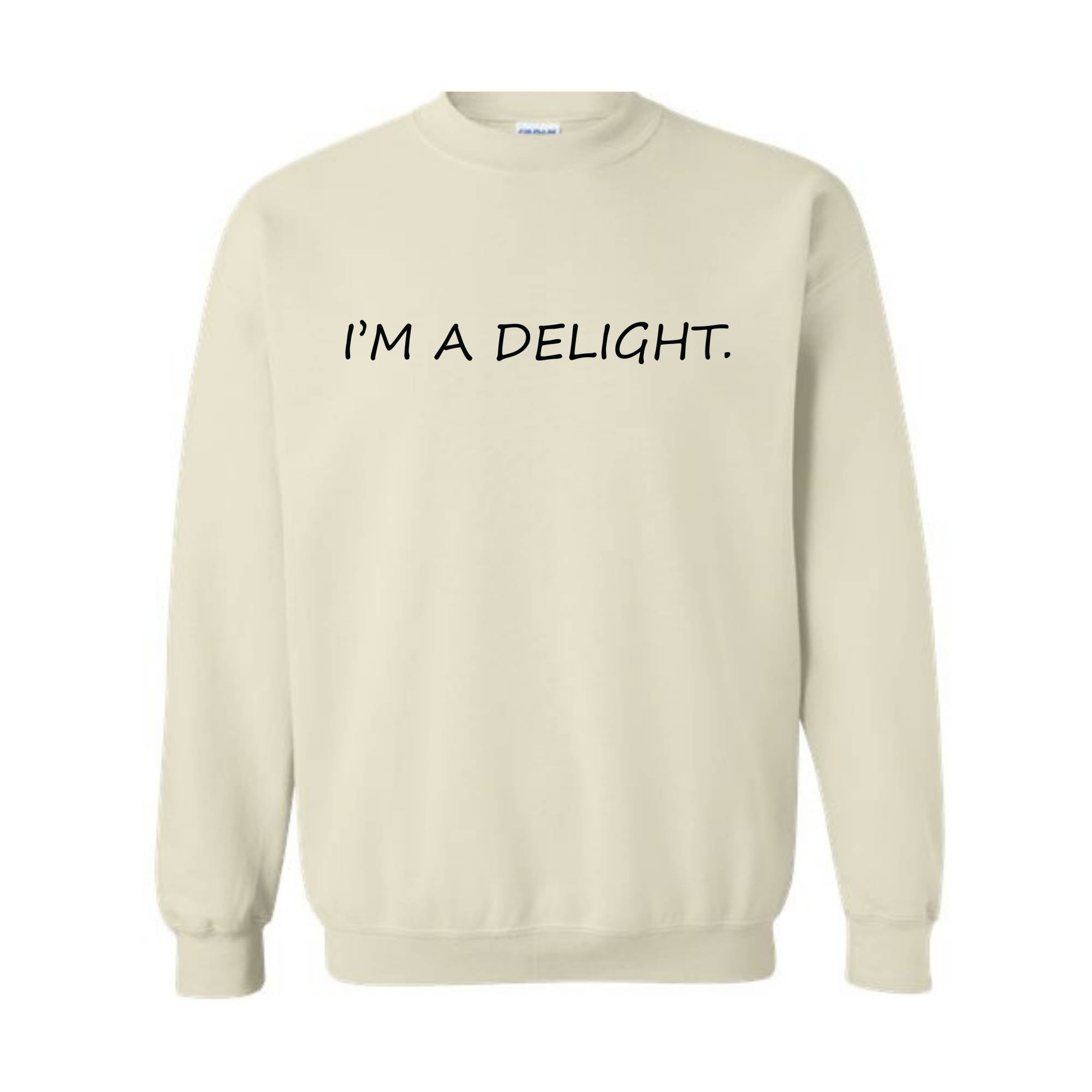 I'm A Delight Sweatshirt, Funny Hoodie, Funny Quotes Sweatshirt, Quote Sweater, Humorous Hoodie, I'm A Delight Quote