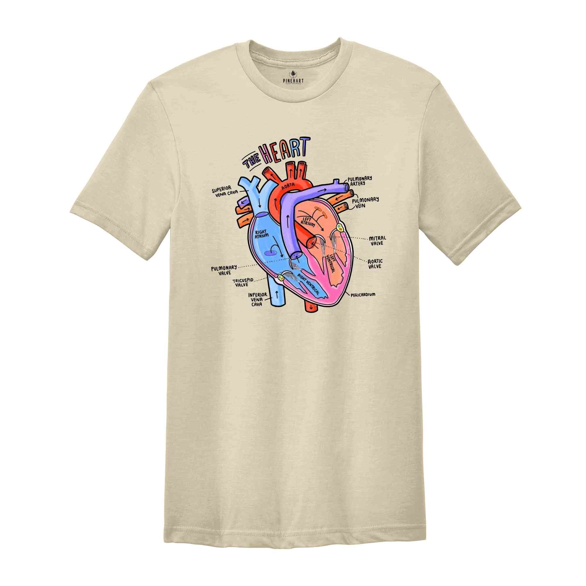 Heart Anatomy Shirt, Nurse Shirt, Anatomy Shirt, Cardiac Nurse Shirt, Cardiologist Anatomical Heart Shirt, Nursing Student,Heart Nurse Shirt