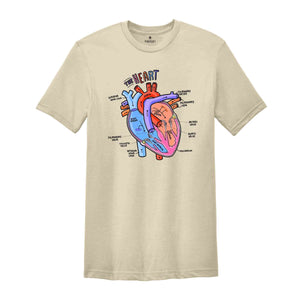 Heart Anatomy Shirt, Nurse Shirt, Anatomy Shirt, Cardiac Nurse Shirt, Cardiologist Anatomical Heart Shirt, Nursing Student,Heart Nurse Shirt