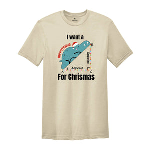 I Want A Hippopotenuse For Christmas T-Shirt, Funny Geometry Tee, Christmas Math Teacher Gift, Geometree Shirt, Cute Christmas Animal Shirt