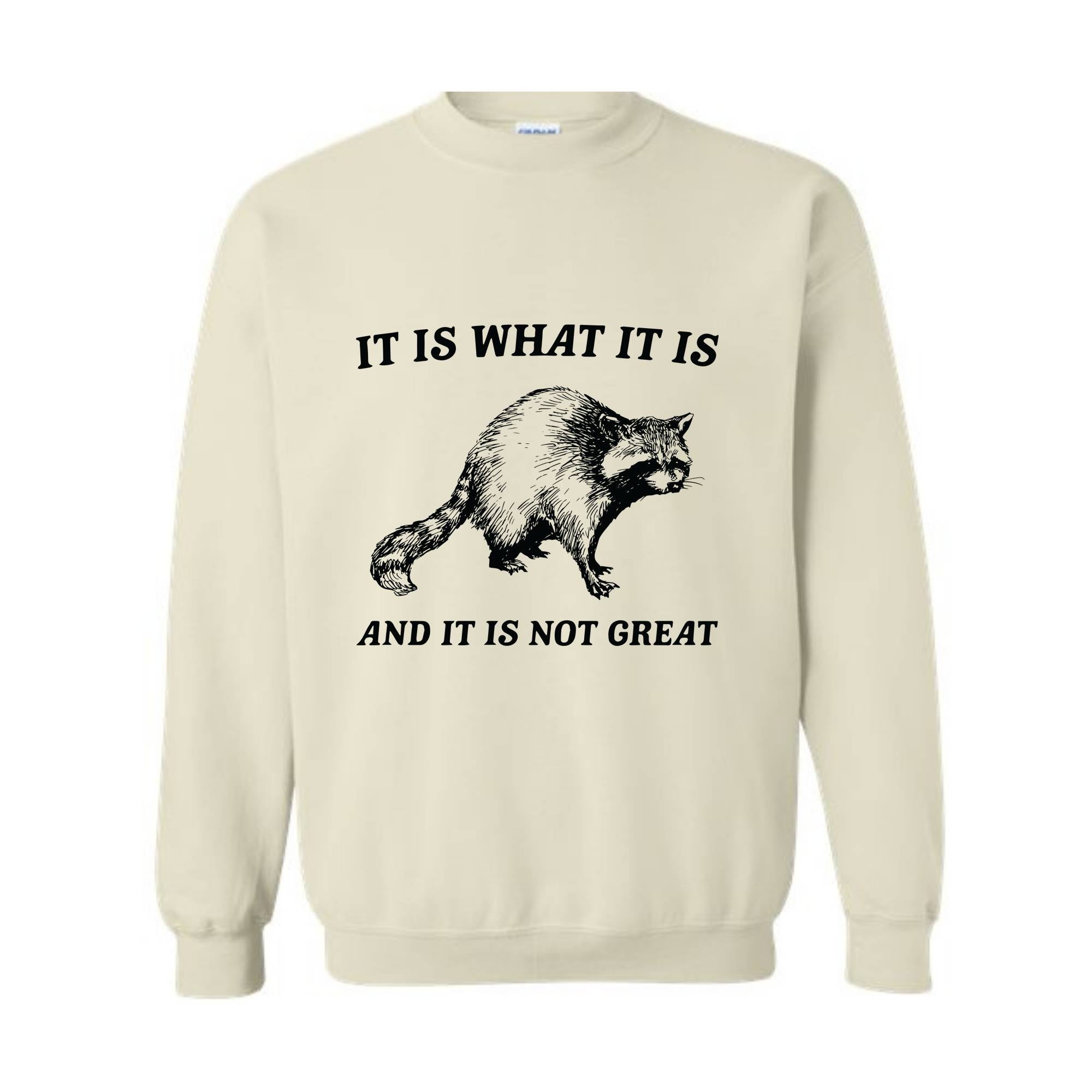 It Is What It Is And It Is Not Great Sweatshirt, It Is Not Great Hoodie, Funny Sweatshirt, Funny Memes Hoodie