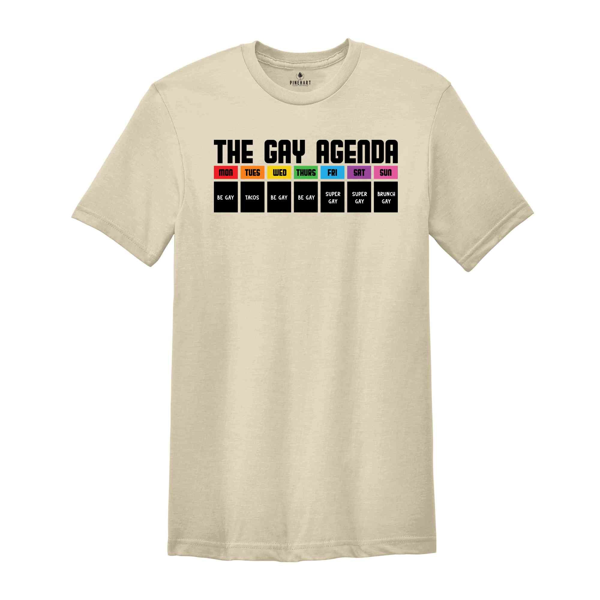 The Gay Agenda Shirt, Pride Month Shirt, Gay Shirt, LGBT Shirt, Bisexual Shirt, Lesbian Shirt, Vintage Shirt, LGBT Gift