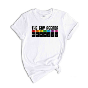 The Gay Agenda Shirt, Pride Month Shirt, Gay Shirt, LGBT Shirt, Bisexual Shirt, Lesbian Shirt, Vintage Shirt, LGBT Gift