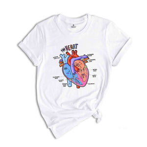 Heart Anatomy Shirt, Nurse Shirt, Anatomy Shirt, Cardiac Nurse Shirt, Cardiologist Anatomical Heart Shirt, Nursing Student,Heart Nurse Shirt