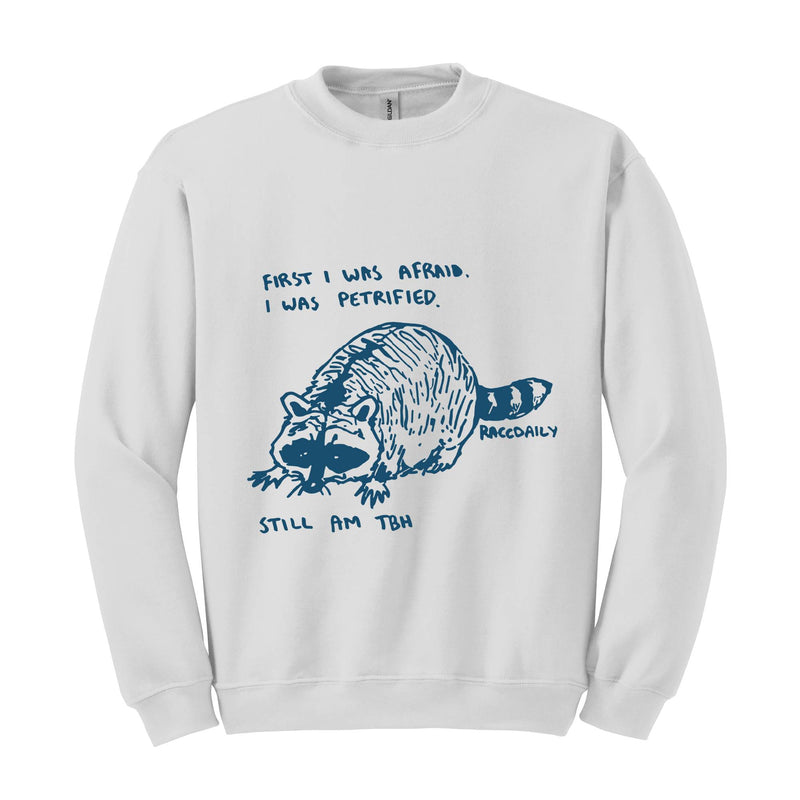 First I Was Afraid I Was Petrified Still I am TBH Sweatshirt, Raccoon Sweatshirt, Wildlife Hoodie, Funny Raccoon