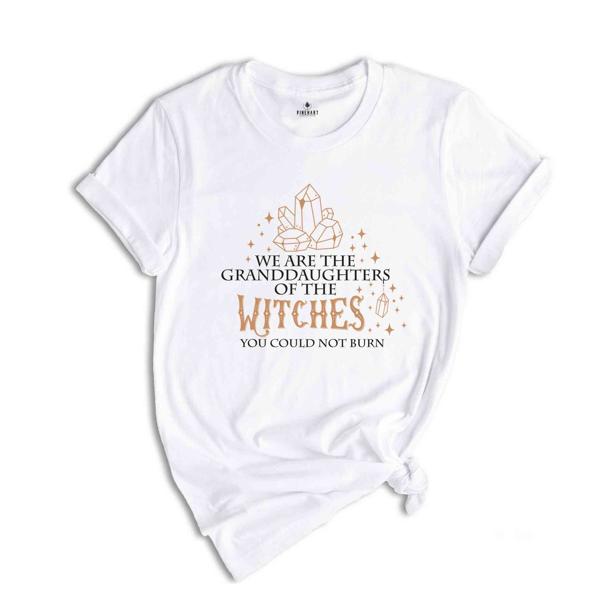 We Are the Granddaughters of the Witches You Could Not Burn Salem Witch Shirt, Moon Phases Shirt, Witchy T-Shirt, Salem Tee