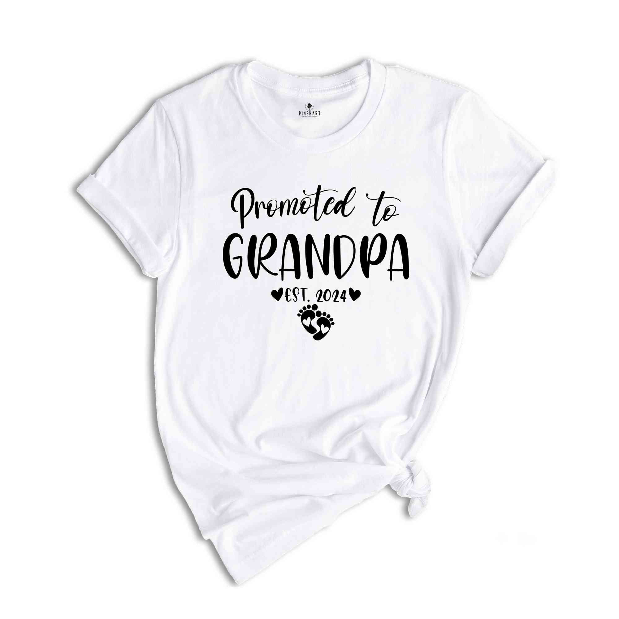 Promoted to Grandma Grandpa Est 2024 Matching Shirt, New Grandma Shirt, New Grandpa Shirt, New Grandparents Shirt, Funny Gender Reveal Shirt