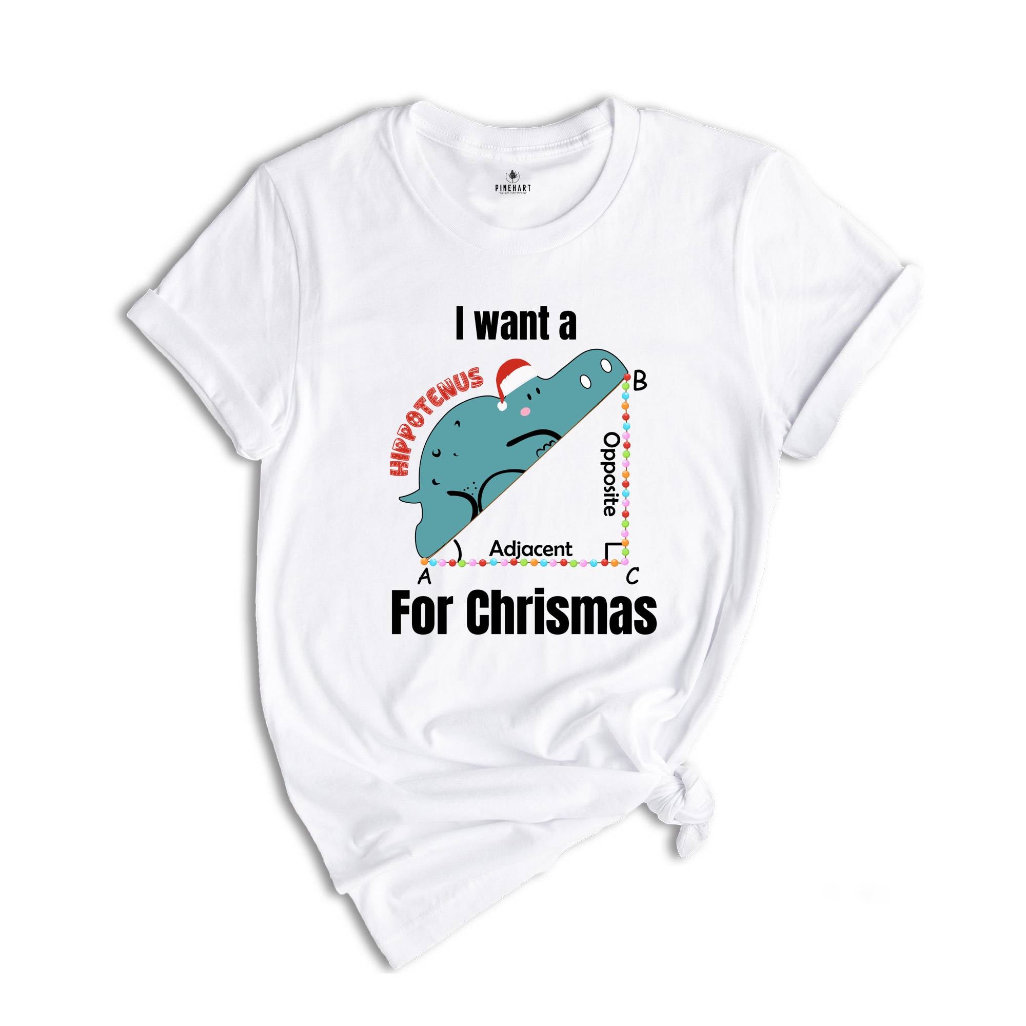 I Want A Hippopotenuse For Christmas T-Shirt, Funny Geometry Tee, Christmas Math Teacher Gift, Geometree Shirt, Cute Christmas Animal Shirt