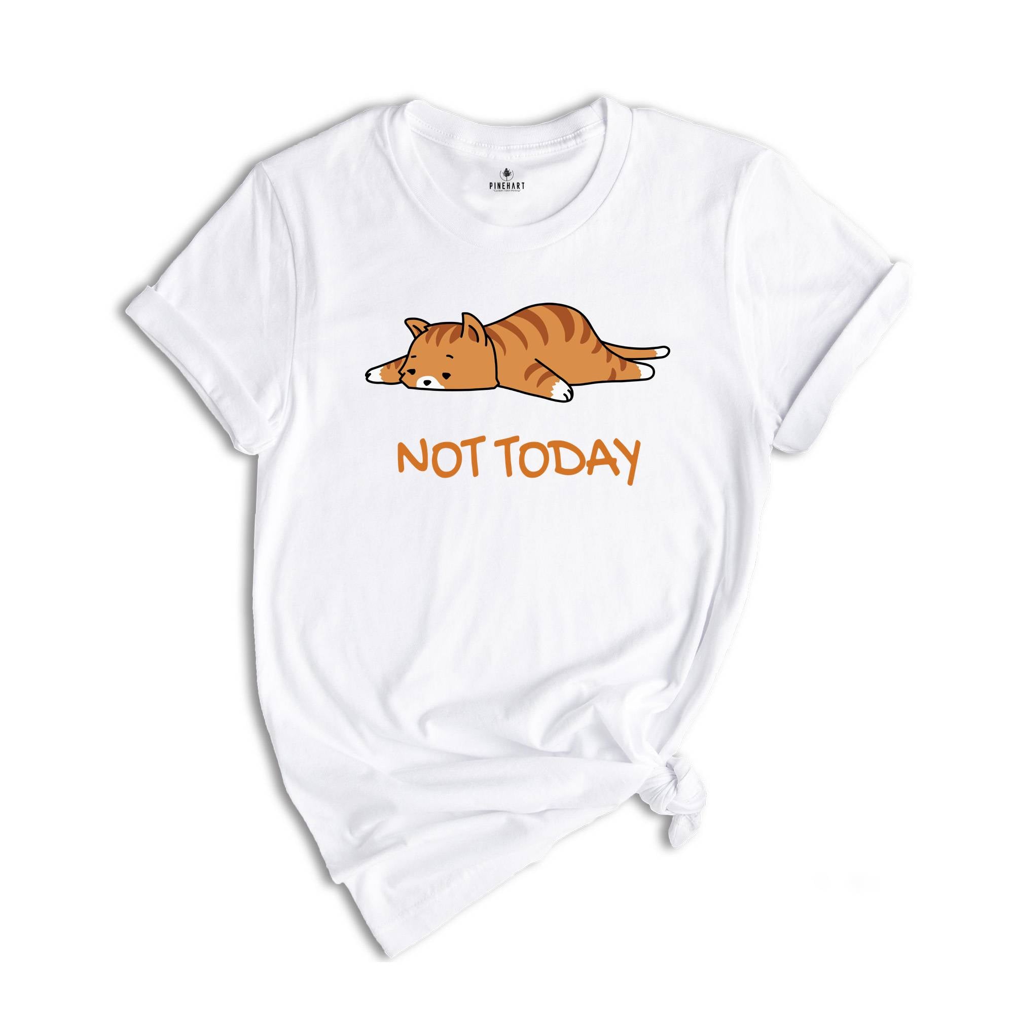 Not Today Cat Shirt, Funny Kitten Shirt, Funny Cat Tshirts, Lazy Cats, Sleepy Cat Lover Shirt, Lazy Cat Tees