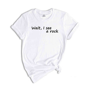 Wait, I See A Rock T-Shirt, Geologist Shirt, Funny Rock Collector Shirt, Funny Geologist Tee, Geology Teacher Gift, Rock Lovers Tee