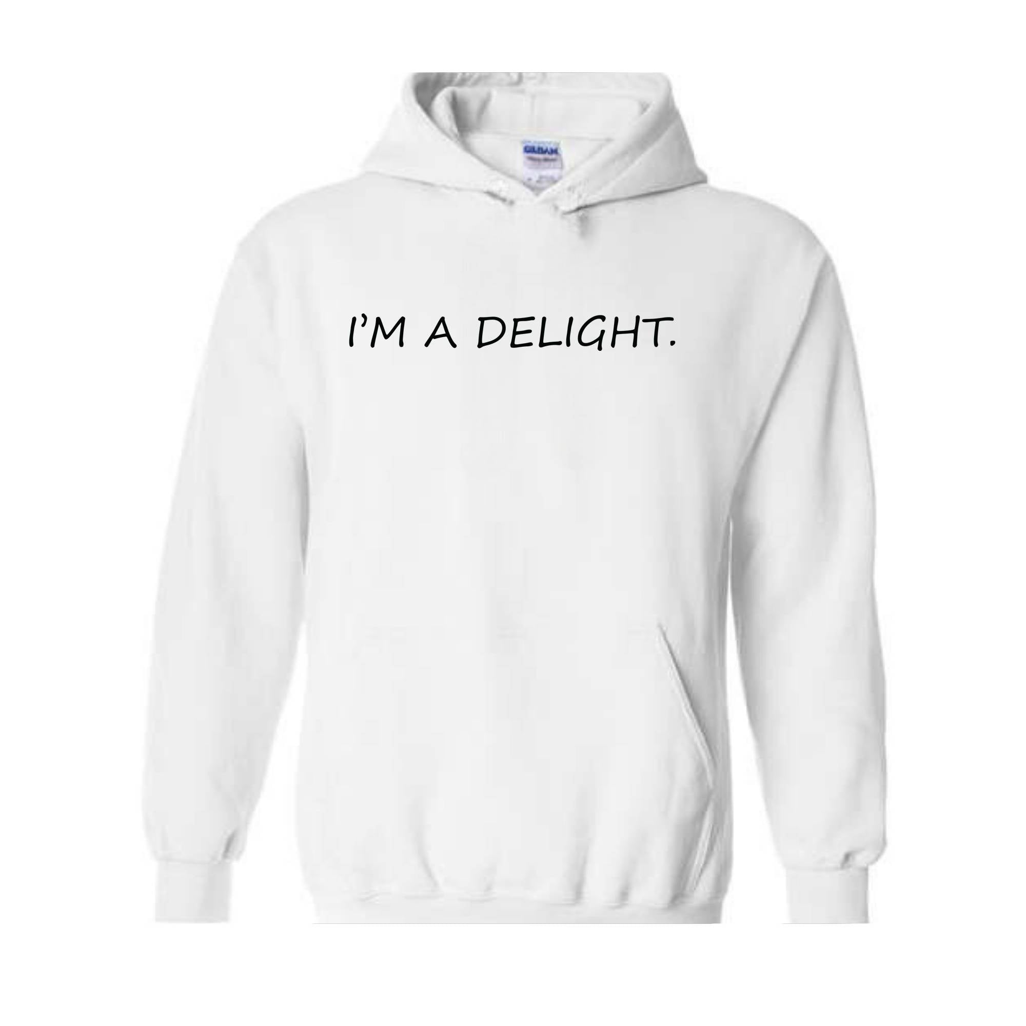 I'm A Delight Hoodie, Funny Hoodie, Funny Quotes Hoodie, Quote Hoodie, Humorous Hoodie, I'm A Delight Quote