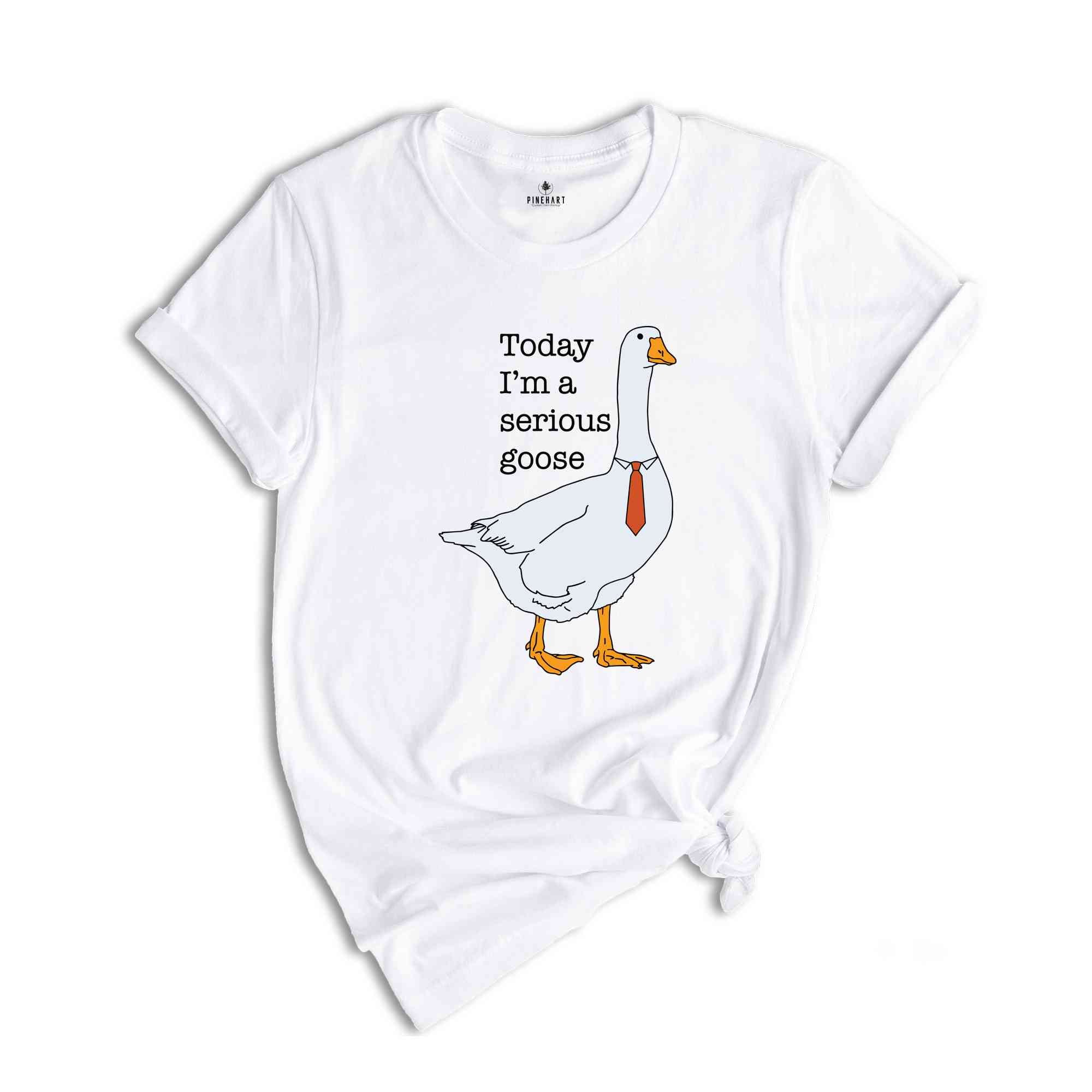 Today I'm a Serious Goose T-Shirt, Funny Silly Shirt, Funny Goose Shirt, Goose Lover Shirt, Meme Shirt, Funny Shirt