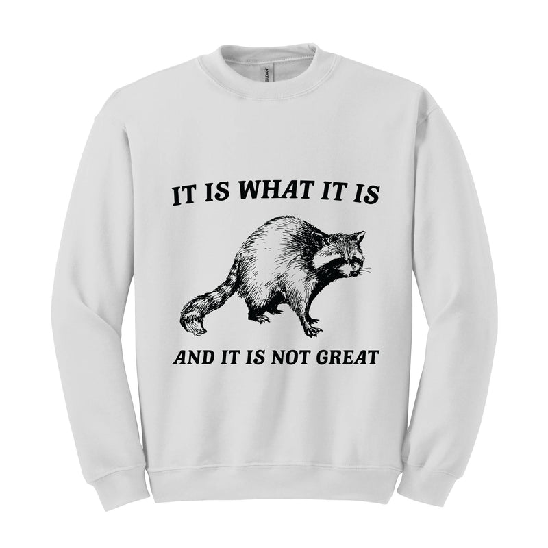 It Is What It Is And It Is Not Great Sweatshirt, It Is Not Great Hoodie, Funny Sweatshirt, Funny Memes Hoodie