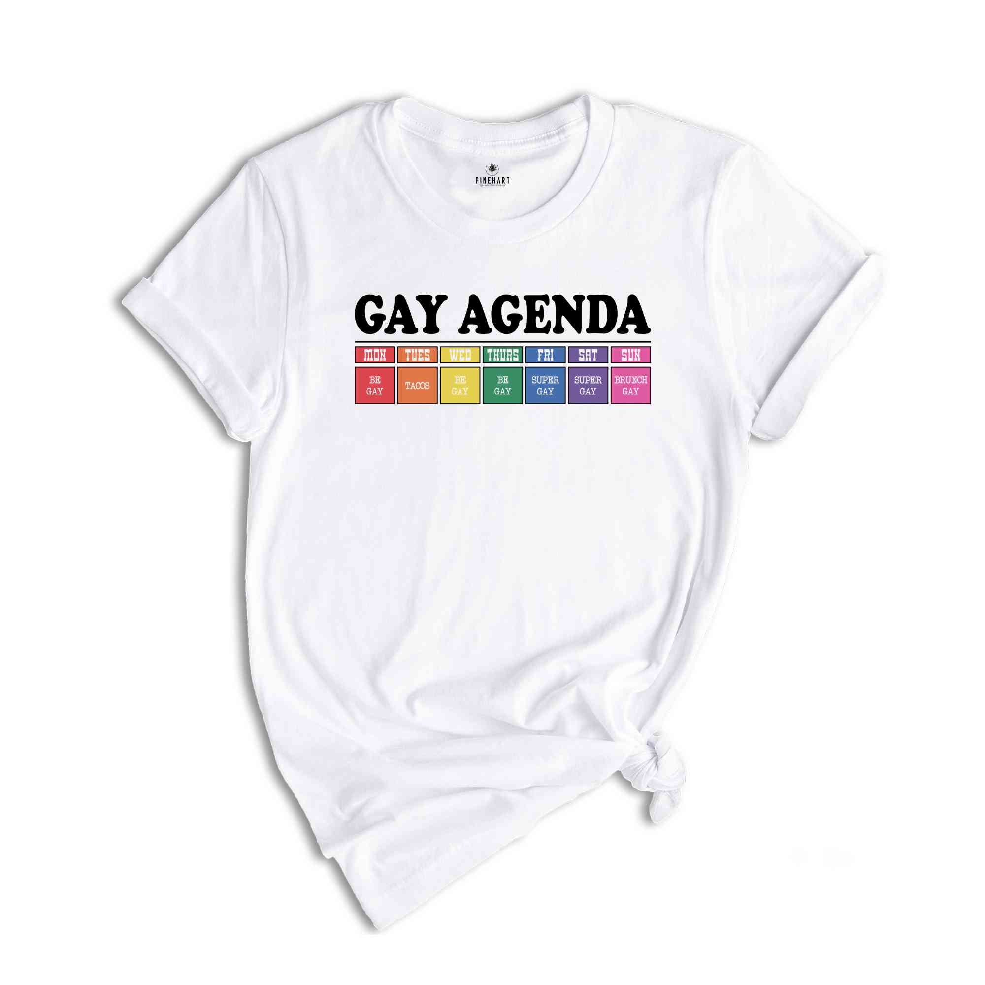 Gay Agenda Shirt, Gay Shirt, Lesbian Shirt, Cute Pride Shirt, Pride Ally Shirt, LGBTQ Shirt, Pride Month Shirt, Love Is Love Shirt