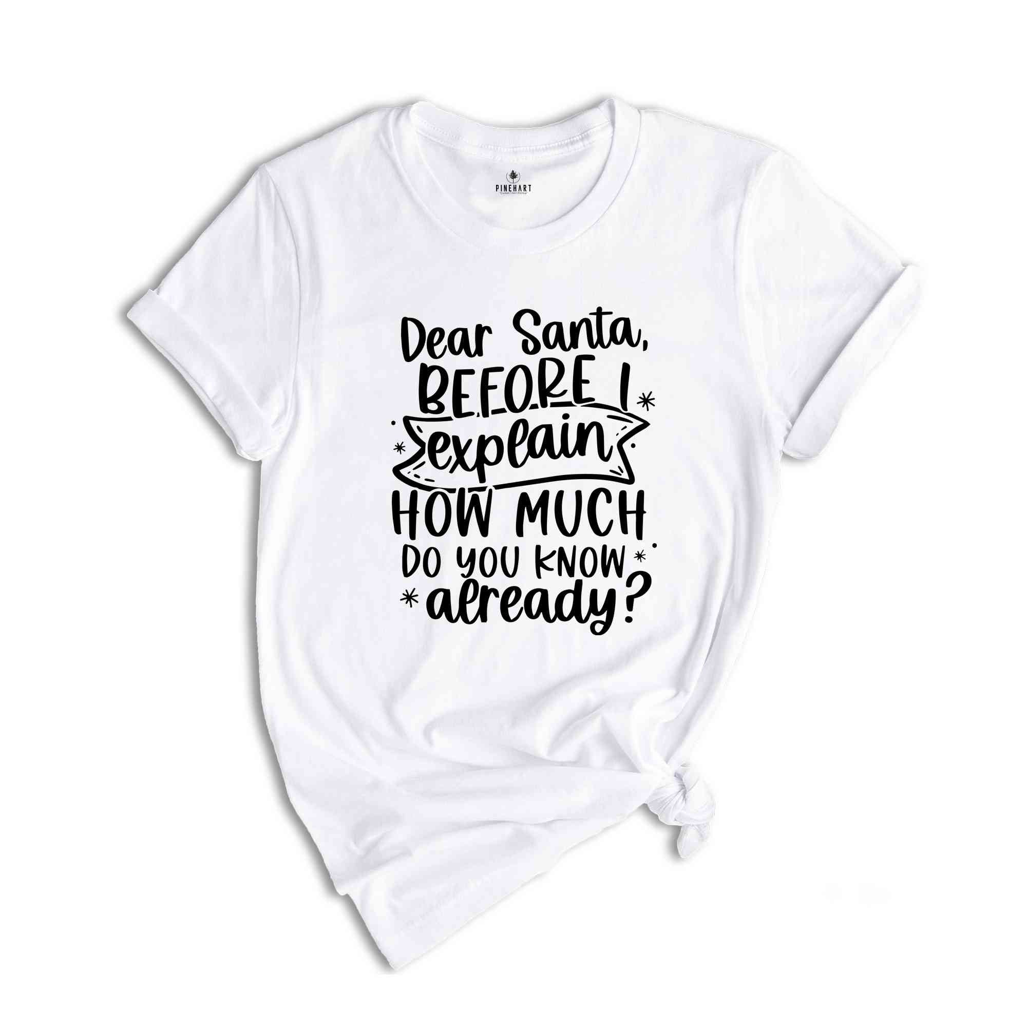 Dear Santa Before I Explain How Much Do You Know Already, Funny Christmas Shirt, Funny Xmas Quotes, Naughty or Nice