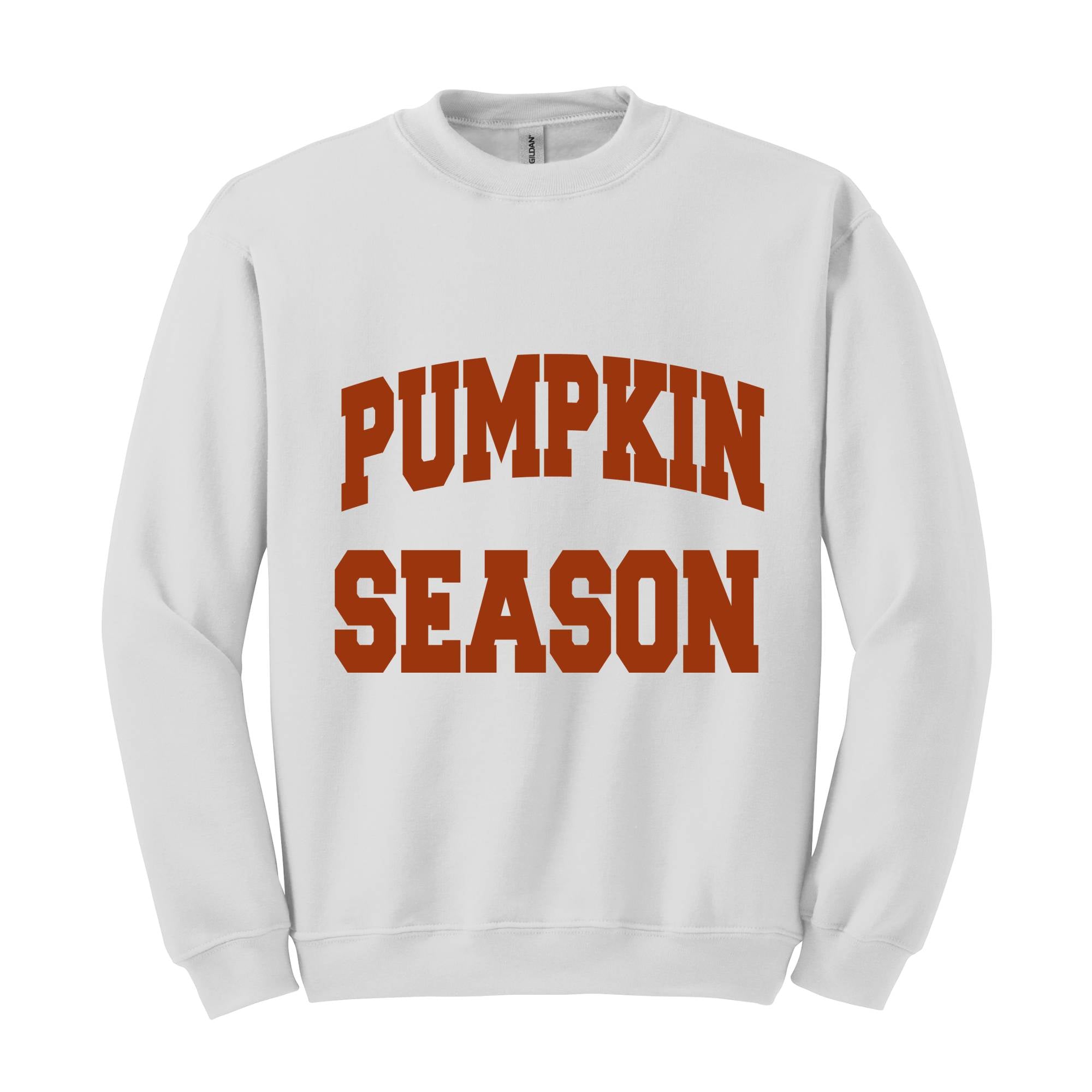 Pumpkin Season Sweatshirt, Thanksgiving Sweatshirt, Cute Fall Sweatshirt, Thanksgiving Gift, Halloween Sweatshirts For Women