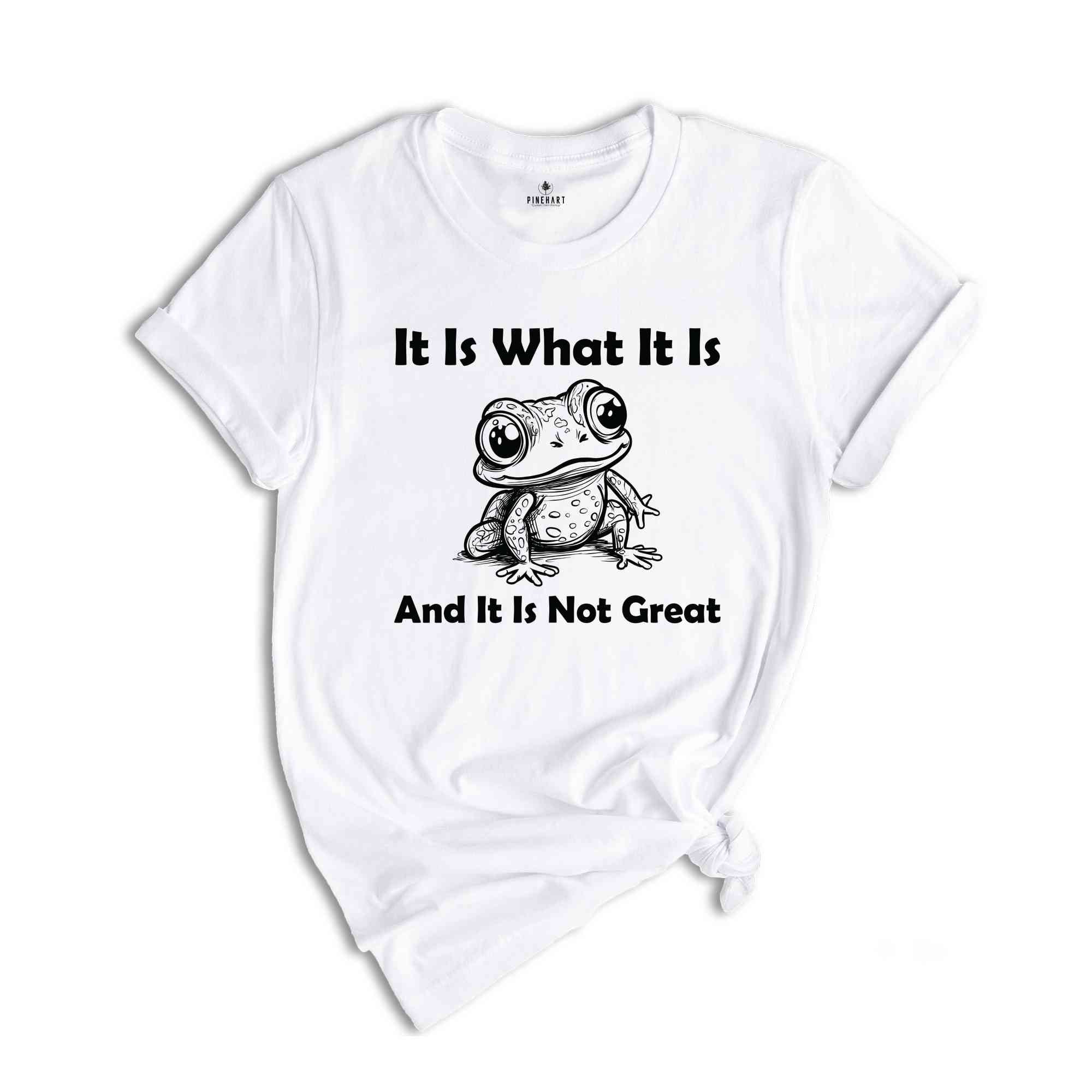 It Is What It Is And It Is Not Great Shirt, Vintage Shirt, Frog Meme Shirt, Funny Frog Shirt, Weird Frog Shirt