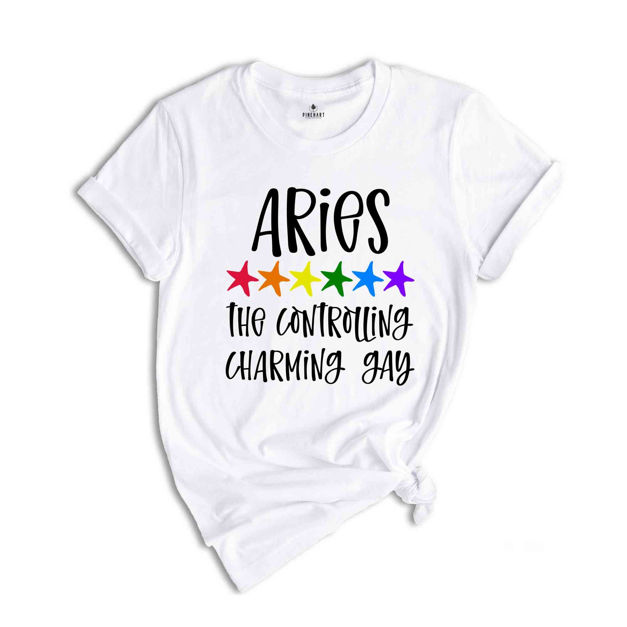 Aries The Controlling Charming Gay Zodiac Shirt, LGBT Pride Shirt, Aries Shirt, Gift For Gay Shirt, Gay Pride Shirt, Gay Zodiac Shirt