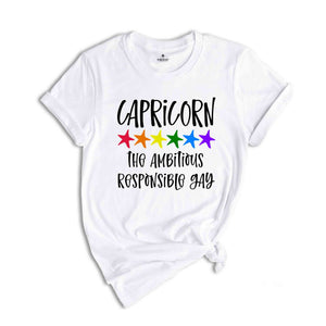 Capricorn The Ambitious Responsible Gay Zodiac Shirt, LGBT Pride Shirt, Capricorn Shirt, Gift For Gay Shirt, Gay Pride Shirt, Gay Zodiac