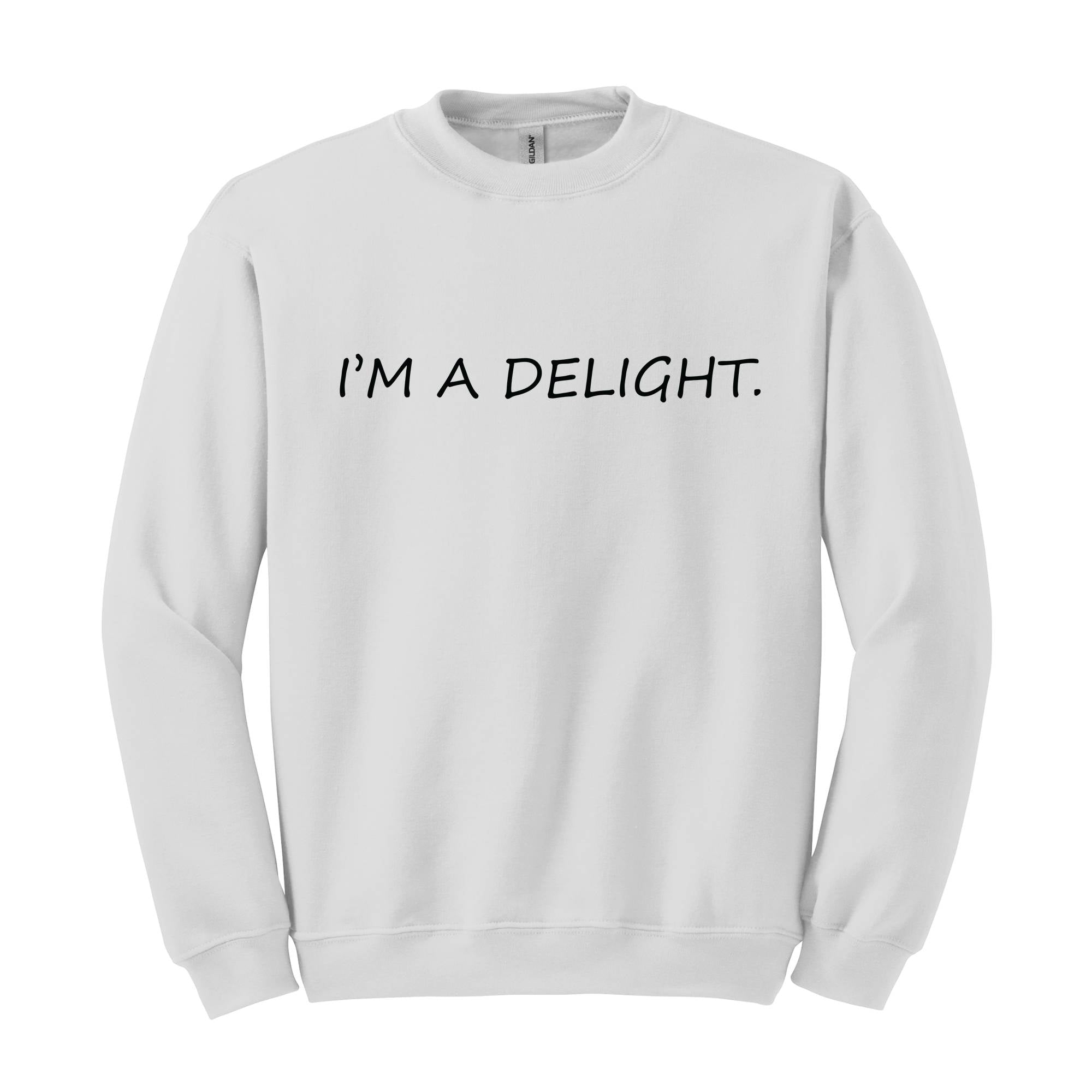 I'm A Delight Sweatshirt, Funny Hoodie, Funny Quotes Sweatshirt, Quote Sweater, Humorous Hoodie, I'm A Delight Quote