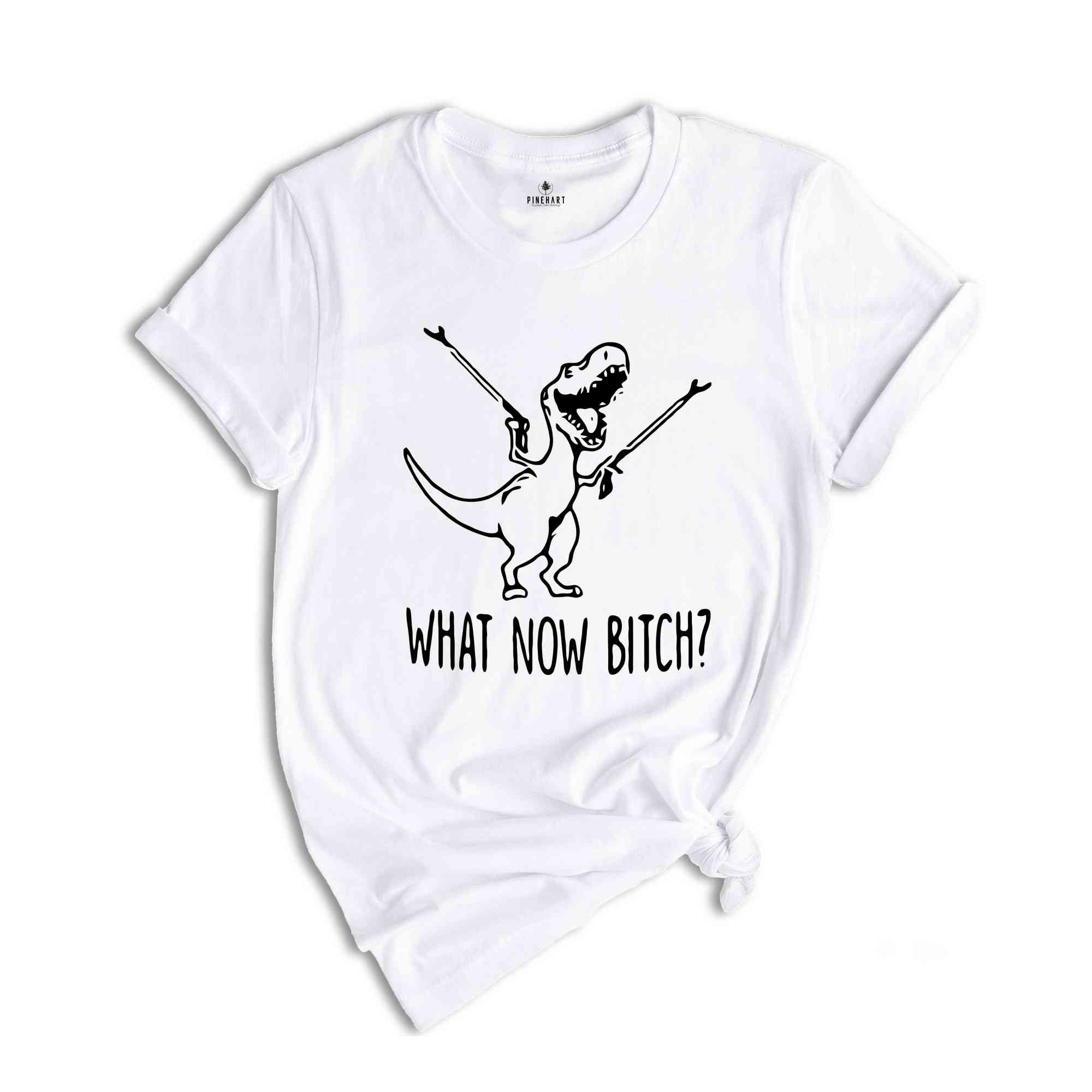 What Now Bitch Shirt, Sarcastic Shirt, Humorous Shirt, Funny Shirt Gift, Dinosaur Shirt, Funny Sayings Shirt, Quotes Shirt, Ironic Shirt