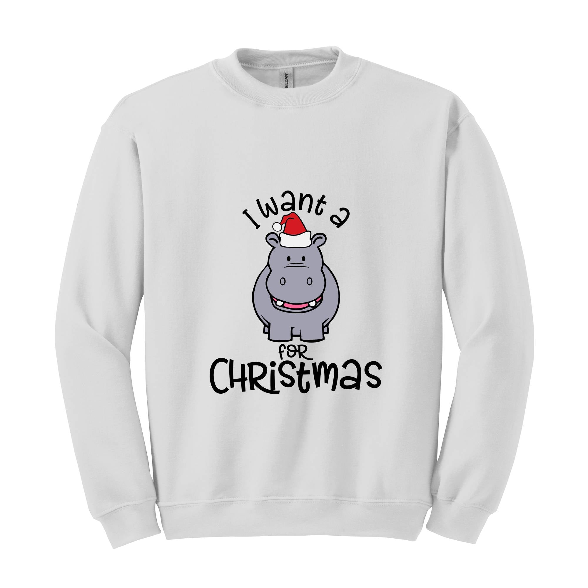 I Want A Hippopotamus For Christmas Sweatshirt, Christmas Hippo Sweatshirt, Christmas Kids Sweatshirt, Funny Christmas Gift