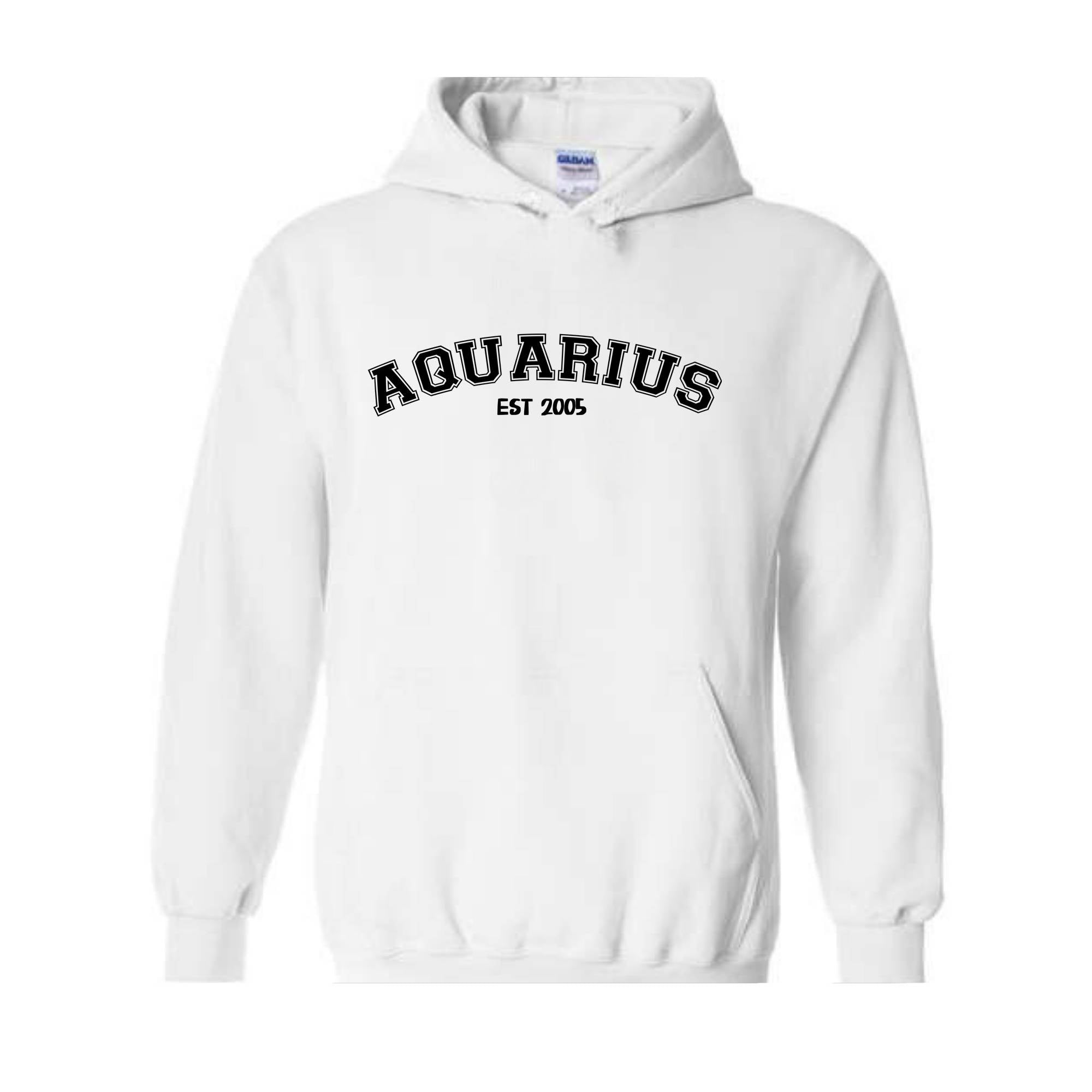 Aquarius Birthday 2005 Sweatshirt, February Birthday Hoodie, Astrology Hoodie, Astrology Gift, 20th Sweatshirt, 20th Birthday Tee