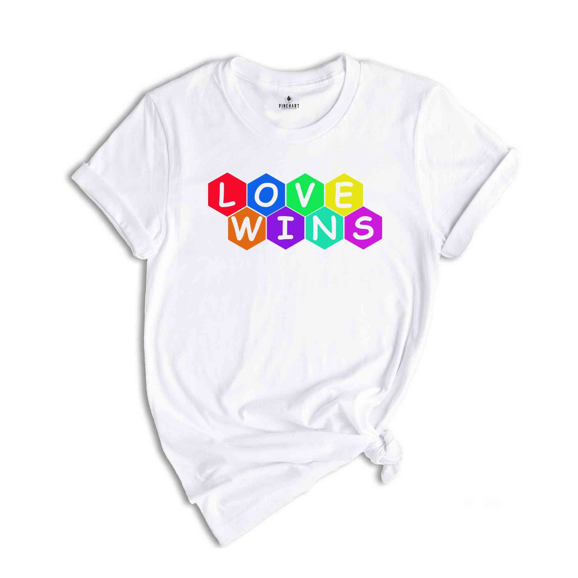 Love Wins Shirt, LGBTQ+ Shirt, Pride Month Shirt, Equal Rights Shirt,Lgbtq Proud Ally, Pride Parade 2024,Equality Tshirt