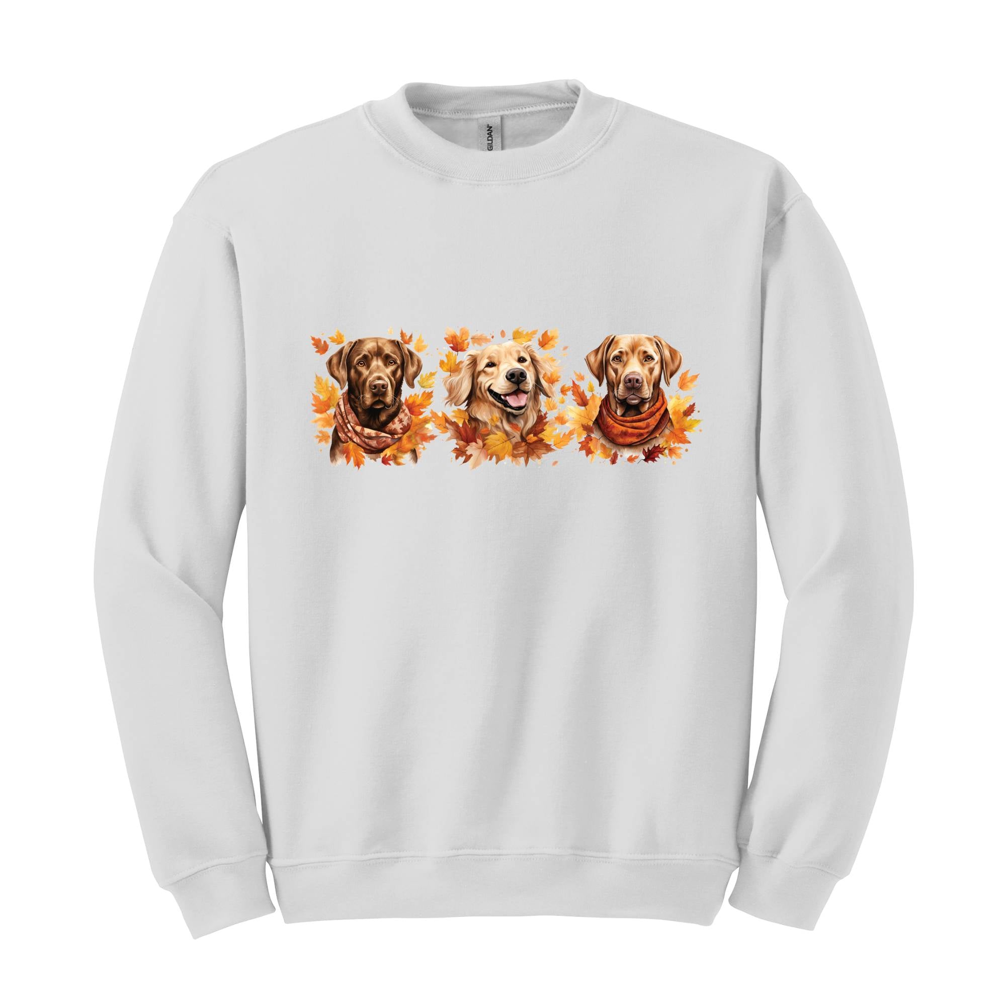 Thanksgiving Dogs Sweatshirt, Fall Dogs Sweatshirt, Dogs Lover Sweatshirt, Pumpkins Dogs Sweatshirt, Thanksgiving Sweatshirt, Fall Sweater