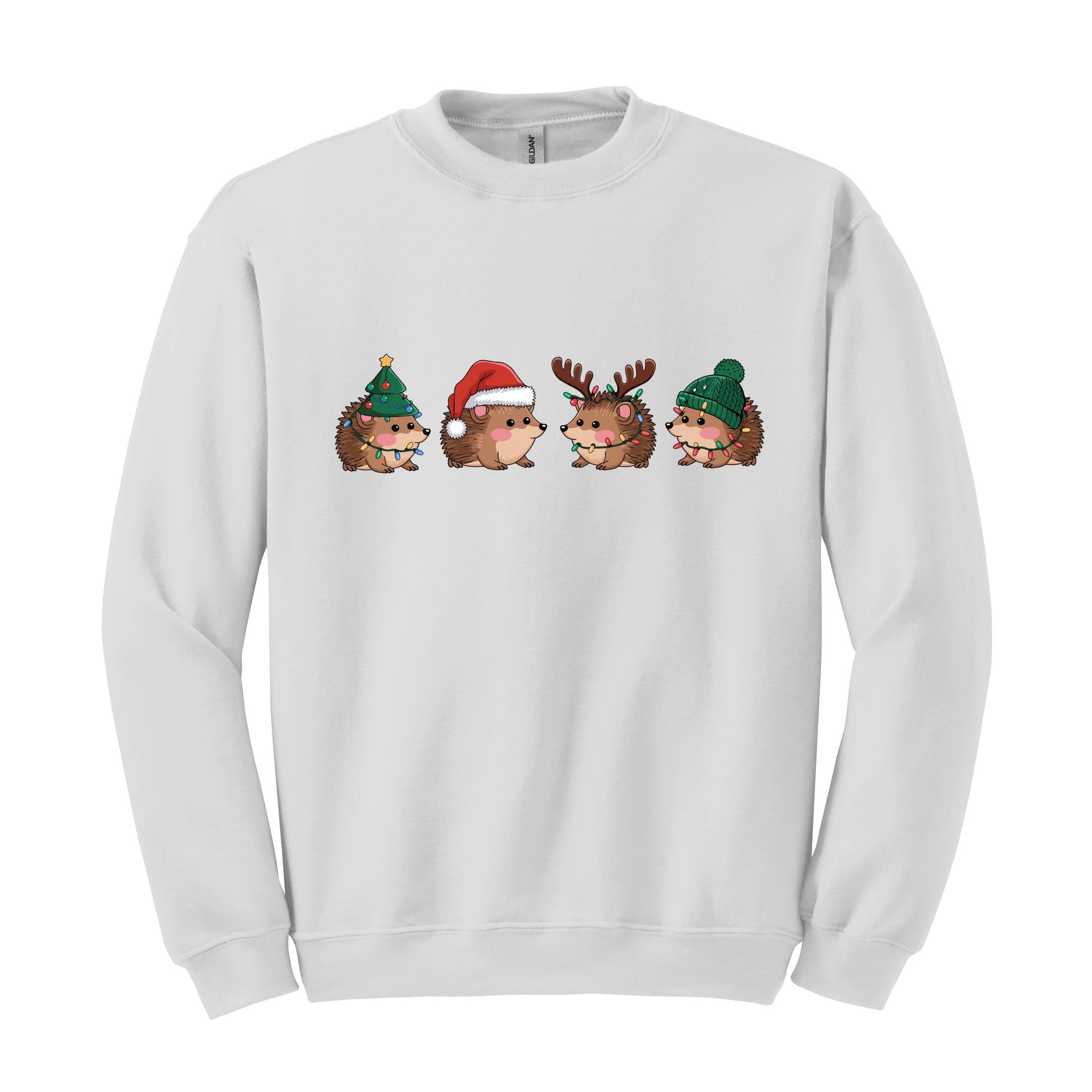 Hedgehog Christmas Sweatshirt, Hedgehog Santa Sweat, Hedgehog Lover Gift, Holidays Sweatshirt, Christmas Gifts