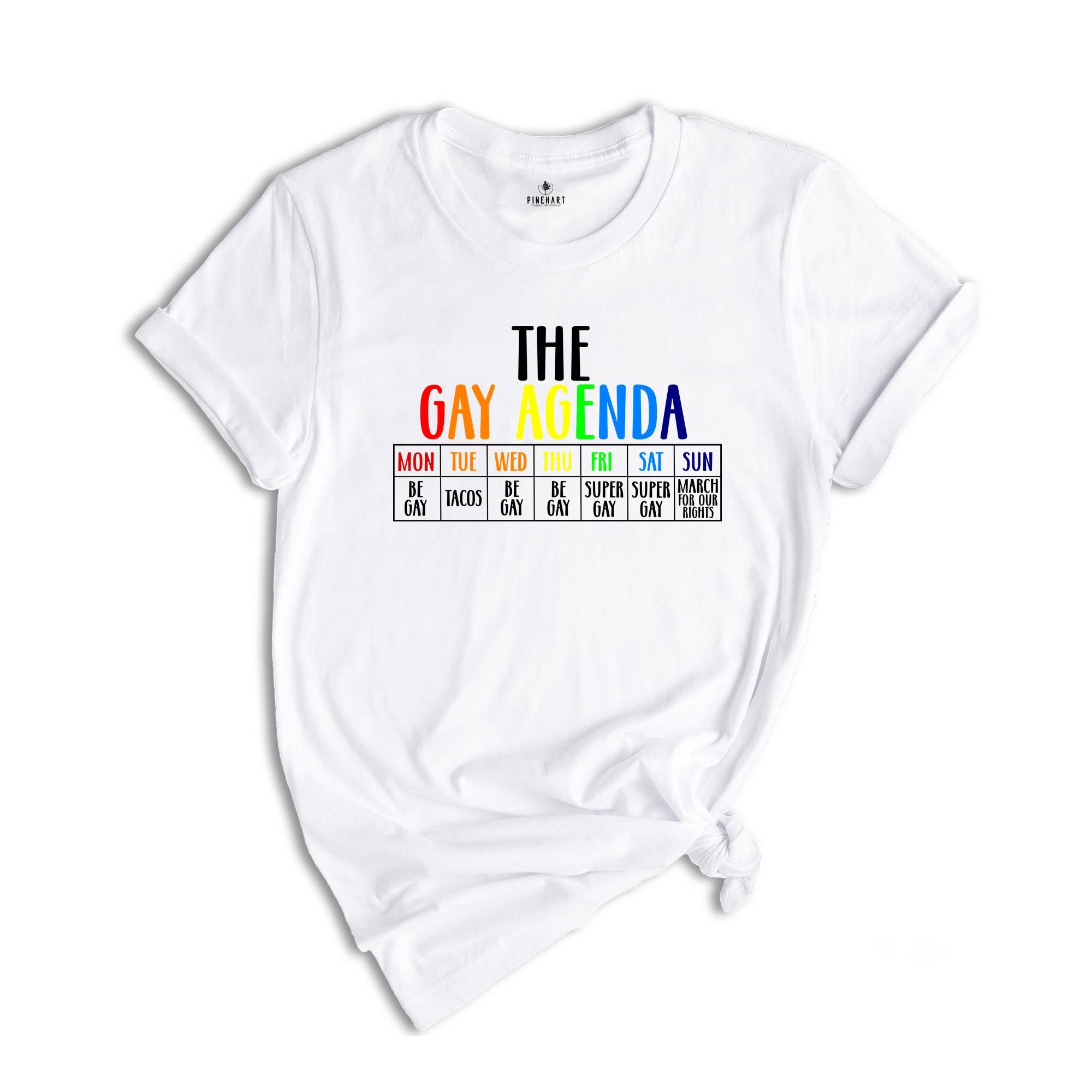 The Gay Agenda Shirt, Funny LGBT Shirt, Pride Rainbow Shirt, LGBTQ Shirt, Gift Gay Lesbian Shirt, LGBTQ+ Shirt