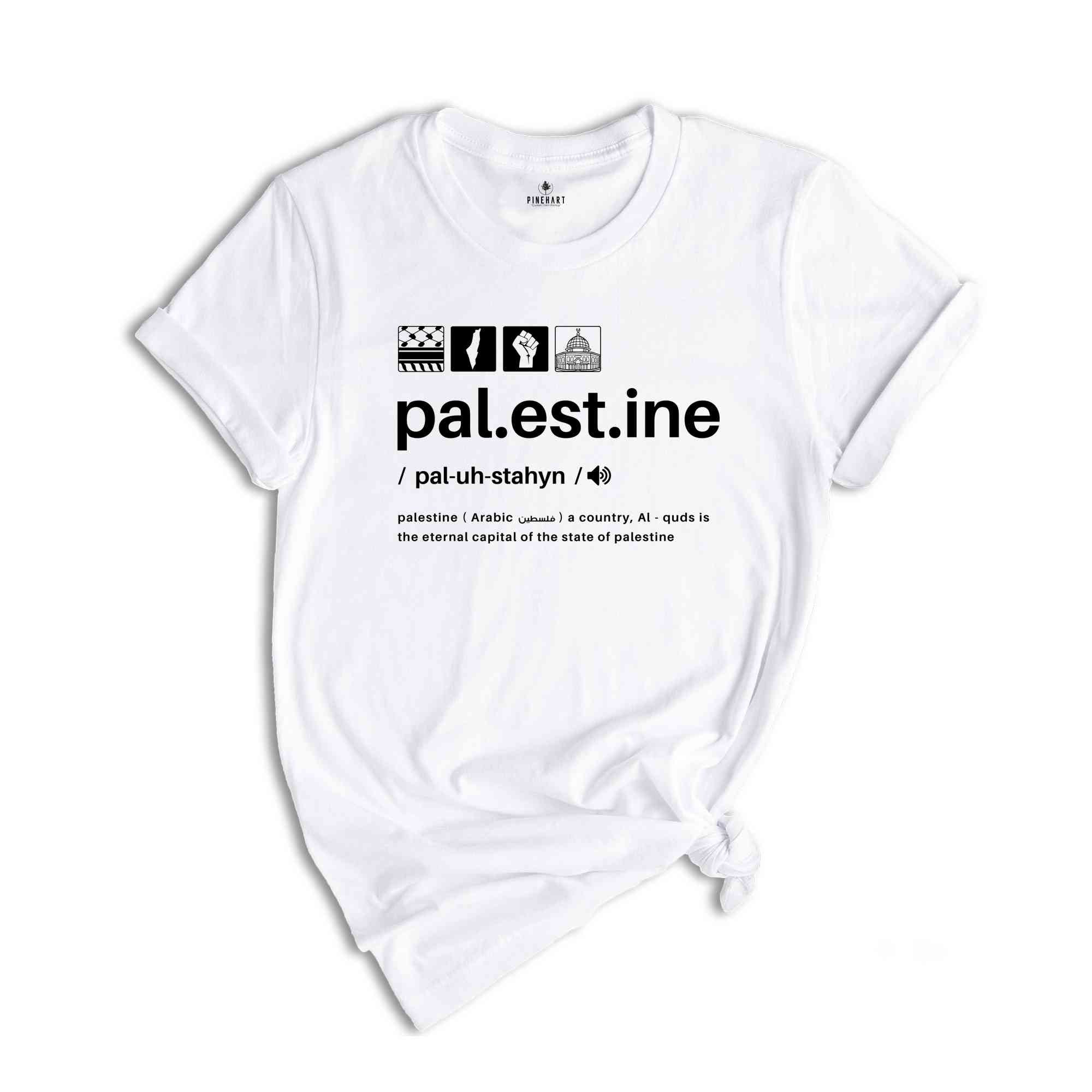 Free Palestine Shirt, Human Rights Shirt, Save Palestine Tee, Stand With Palestine Shirt, Arabic Shirt, Palestine Map Tee,